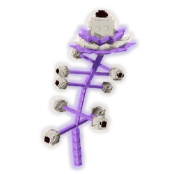 Asteris