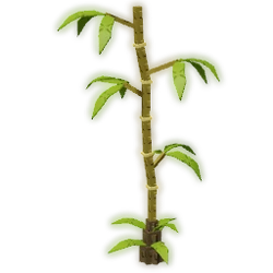 Bamboo Tree