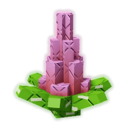 Blooming Cactus