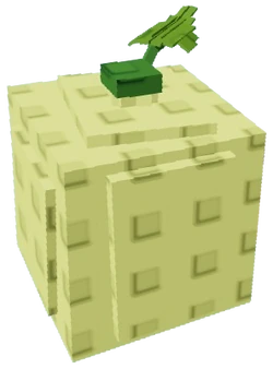 Cantaloupe