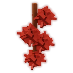 Castor Bean
