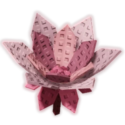 Cyclamen