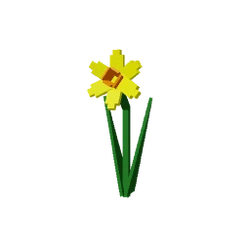 Daffodil