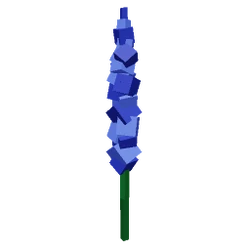 Delphinium