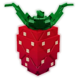 Elder Strawberry