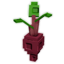 Evo Beetroot II