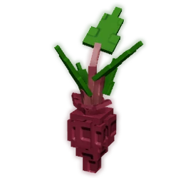 Evo Beetroot III