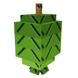 Feijoa