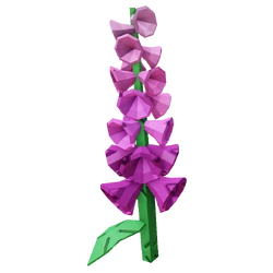 Foxglove