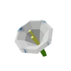 Moonflower