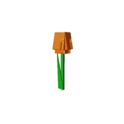 Orange Tulip