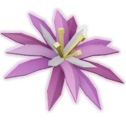 Paradise Petal