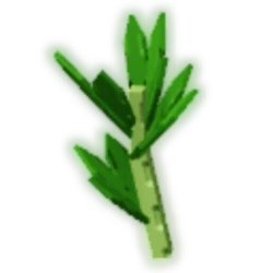 Parsley
