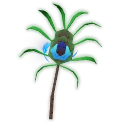 Peacock Tail