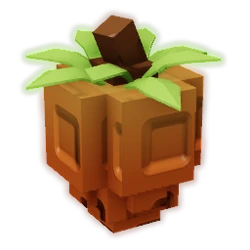 Persimmon
