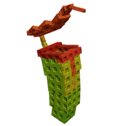 Pitcher Plant
