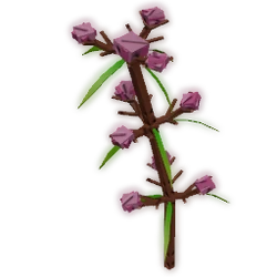 Speargrass