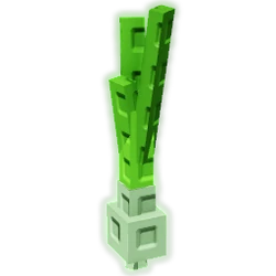 Spring Onion
