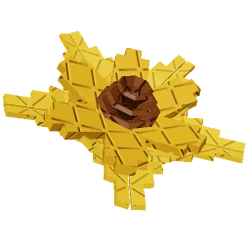 Suncoil