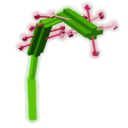 Sundew