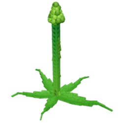Tall Asparagus