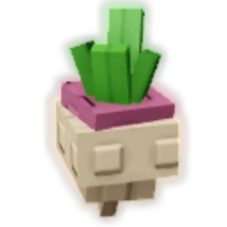 Turnip