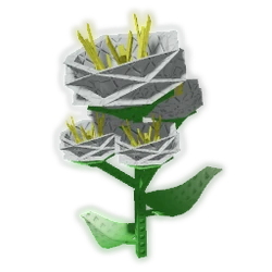 Yarrow